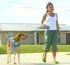beagle-leads-to-baby.jpg
