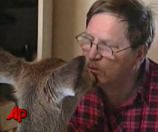 deer-in-house.jpg
