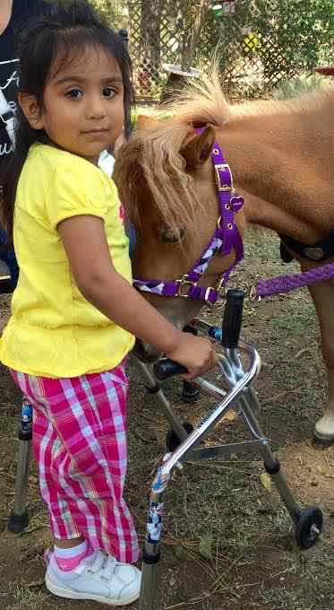 little-girl-with-little-horse-mini-therapy-horses-released