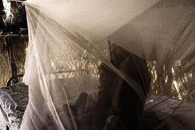 mosquito nets - WHO photo